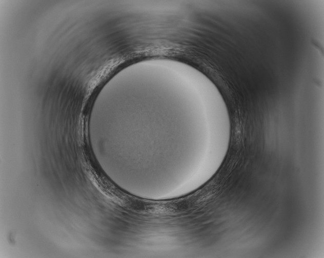 X0000103950678200810311549