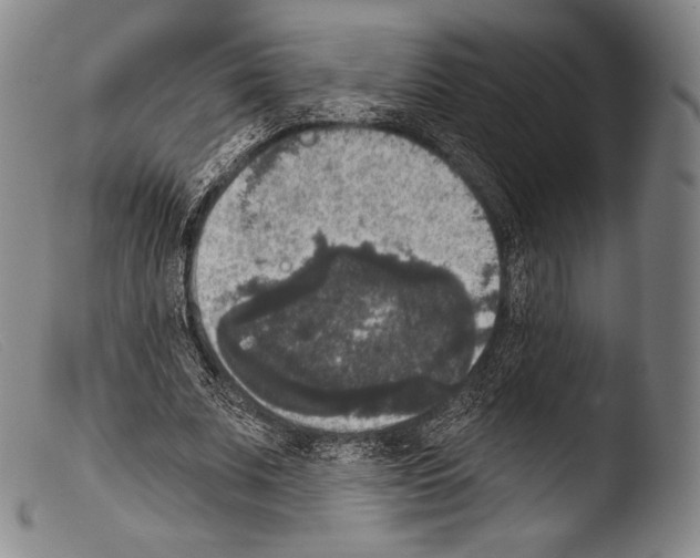X0000103950679200810311549