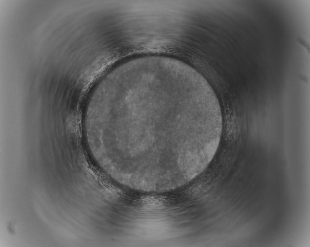 X0000103950680200810311549