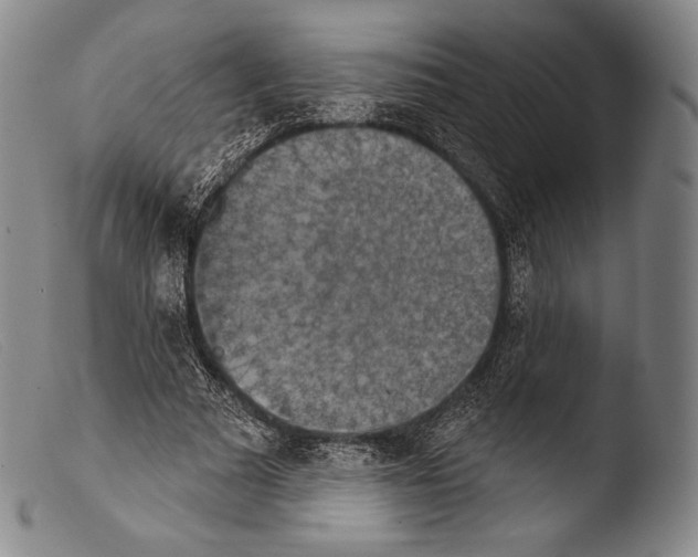 X0000103950681200810311549