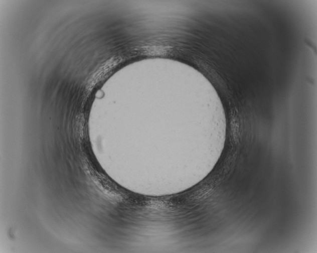 X0000103950682200810311549