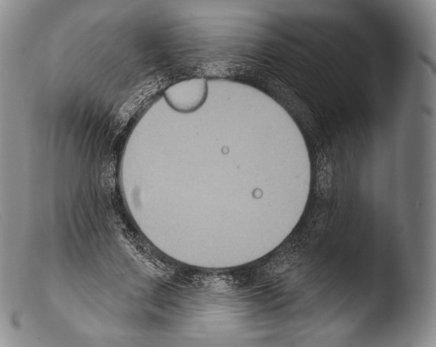X0000103950683200810311549