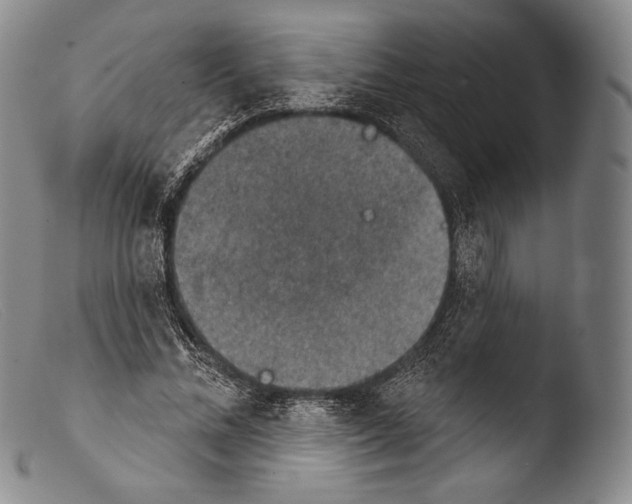 X0000103950684200810311549
