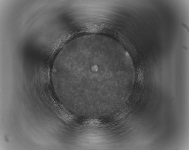 X0000103950685200810311549