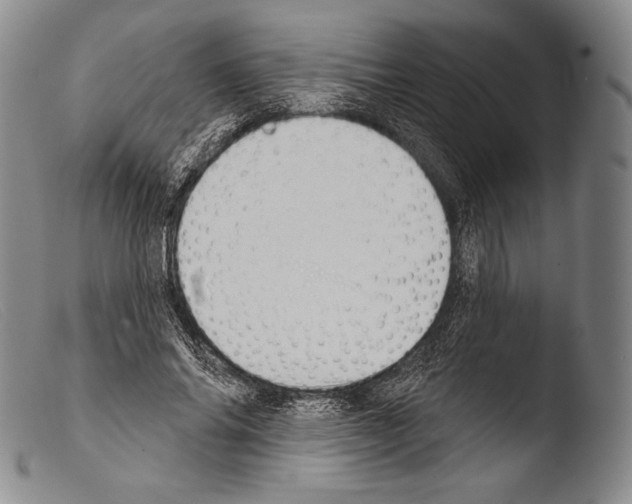 X0000103950686200810311549