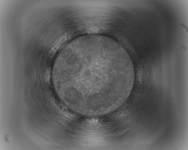 X0000103950687200810311549