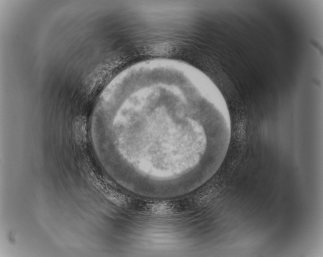 X0000103950688200810311549