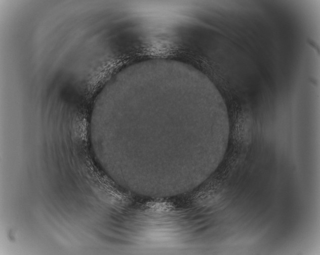 X0000103950689200810311549