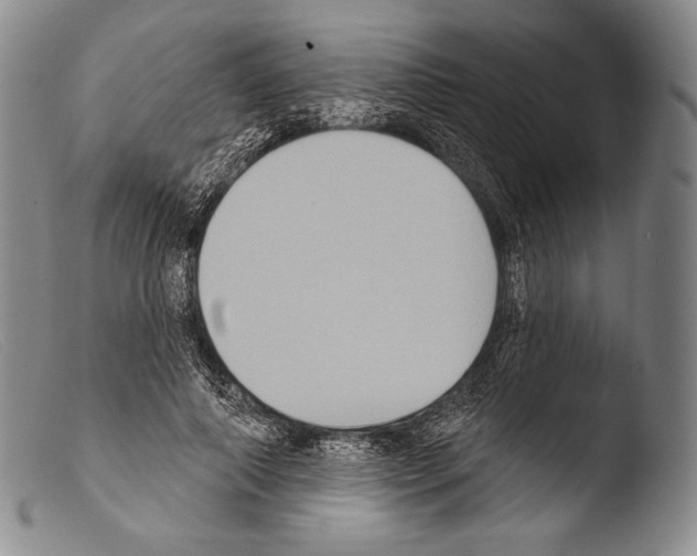 X0000103950690200810311549