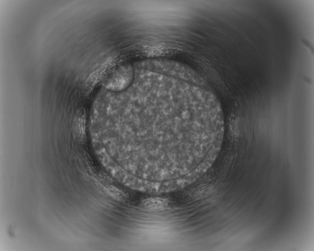 X0000103950691200810311549