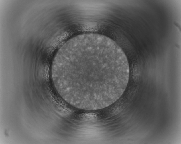 X0000103950692200810311549