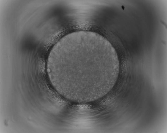 X0000103950693200810311549