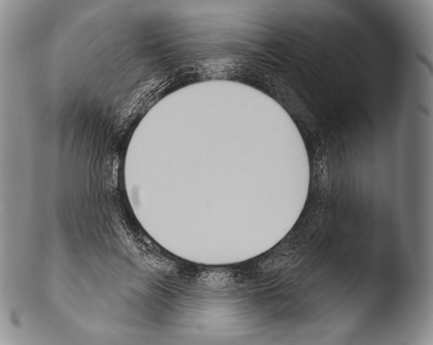 X0000103950694200810311549