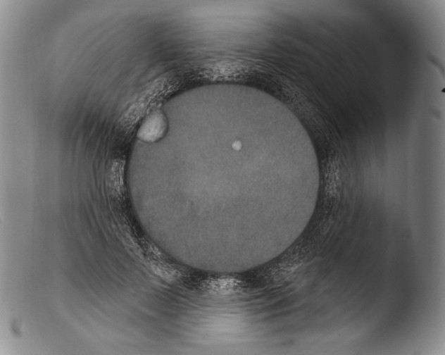 X0000103950695200810311549