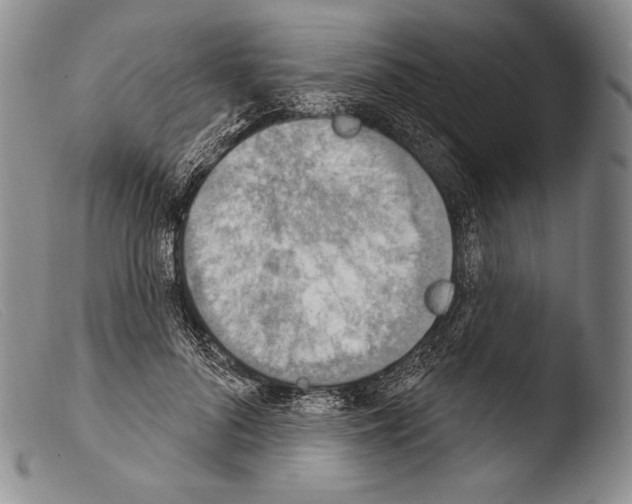 X0000103950696200810311549
