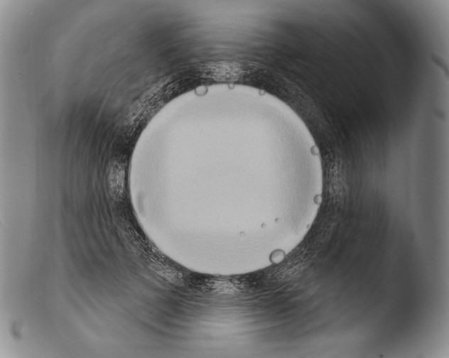 X0000103950697200810311549
