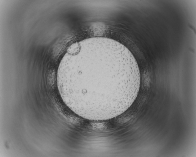 X0000103950698200810311549