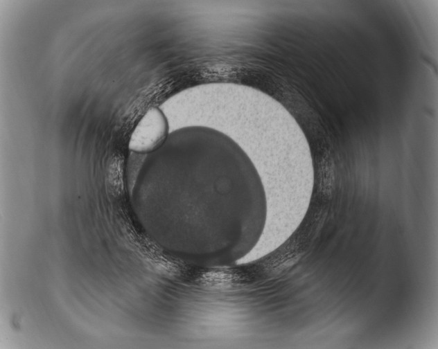 X0000103950699200810311549