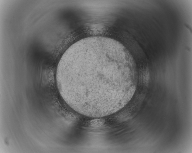 X0000103950700200810311549