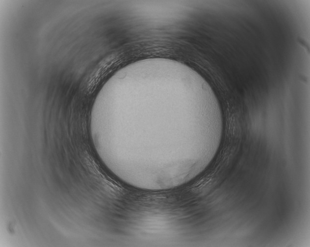 X0000103950701200810311549