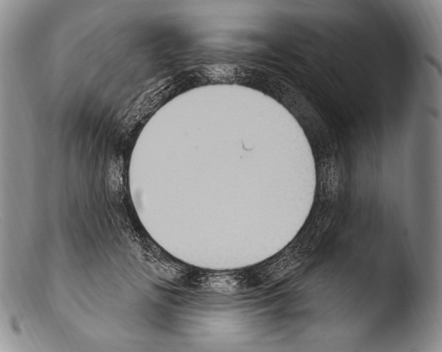 X0000103950702200810311549