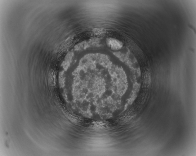 X0000103950703200810311549