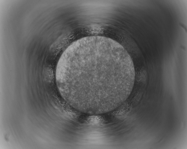 X0000103950704200810311549