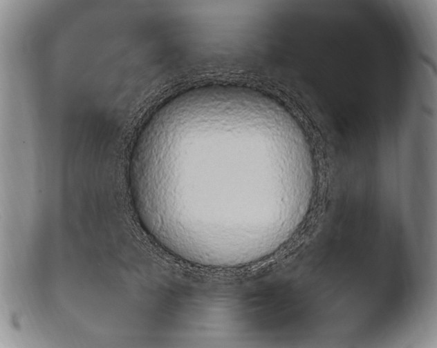 X0000103950705200810311549