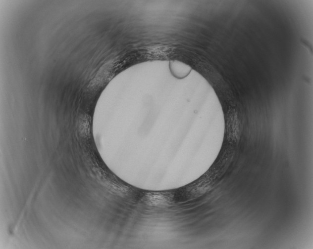 X0000103950706200810311549