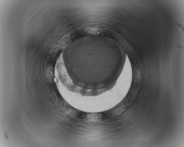 X0000103950707200810311549