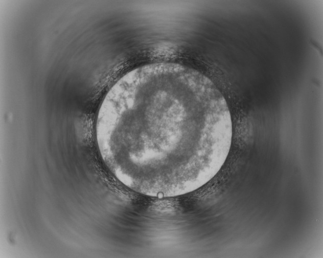 X0000103950708200810311549