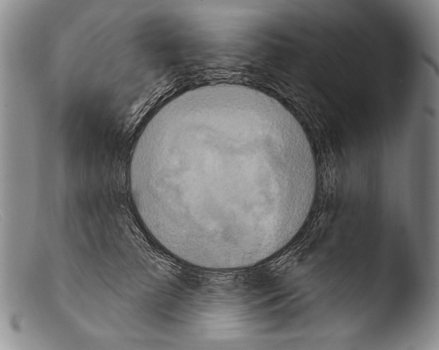 X0000103950709200810311549