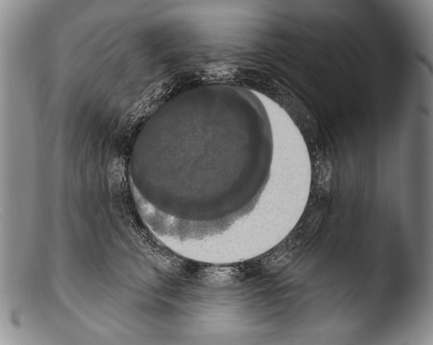 X0000103950711200810311549