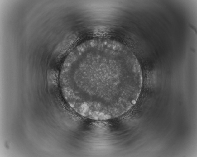 X0000103950712200810311549