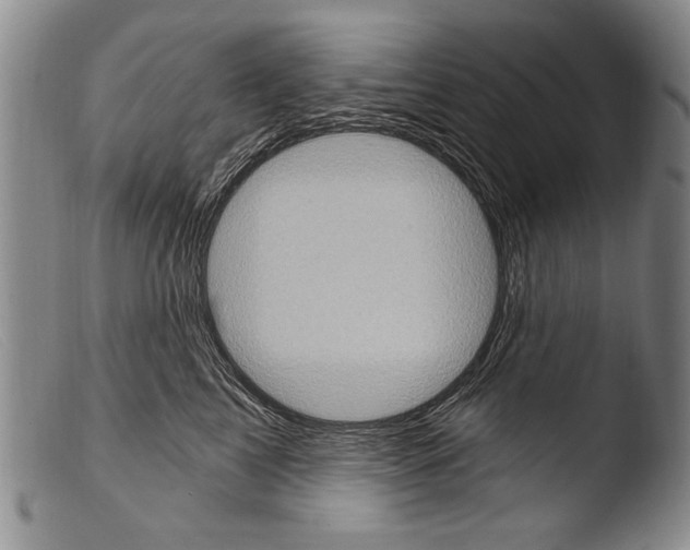 X0000103950713200810311549