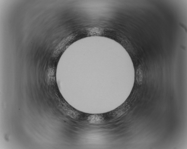 X0000103950714200810311549