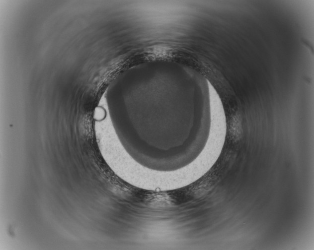 X0000103950715200810311549