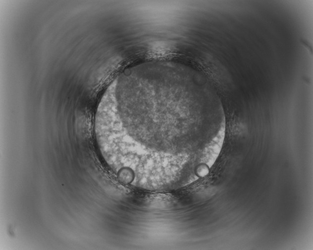 X0000103950716200810311549