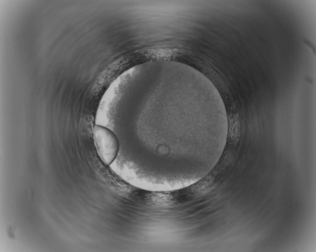 X0000103950718200810311549