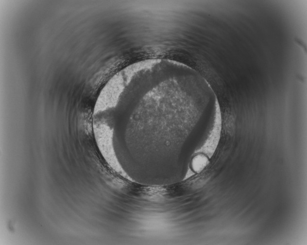X0000103950719200810311549