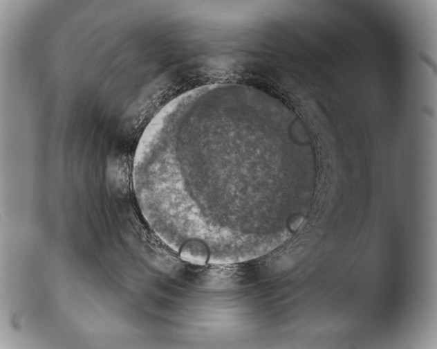X0000103950720200810311549