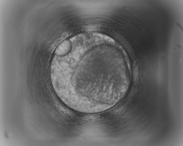 X0000103950721200810311548