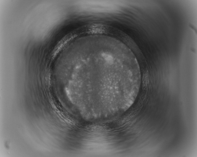 X0000103950722200810311548