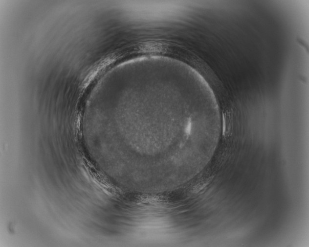 X0000103950723200810311548