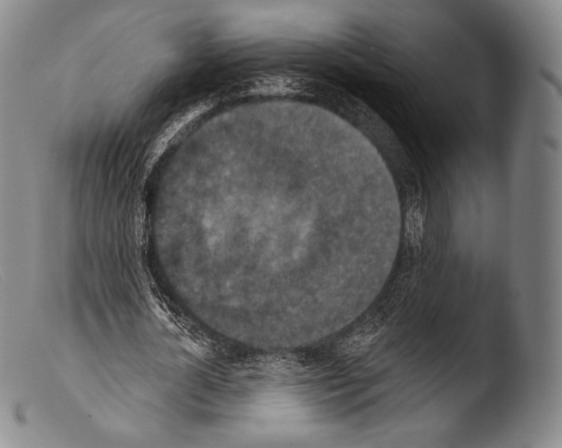 X0000103950724200810311548
