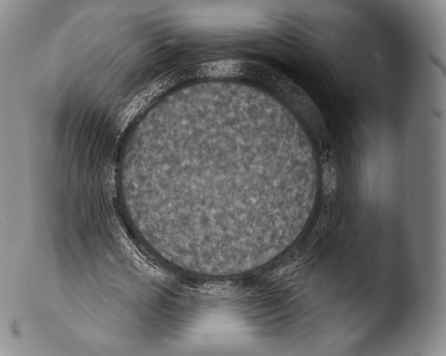 X0000103950725200810311548