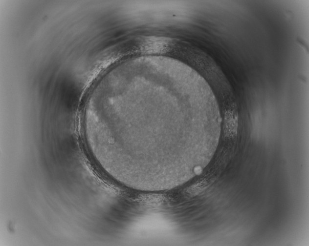 X0000103950726200810311548