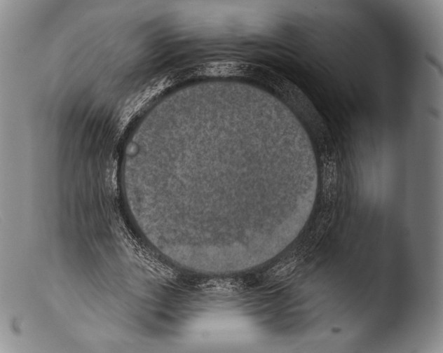 X0000103950727200810311548