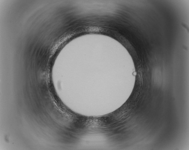 X0000103950728200810311548