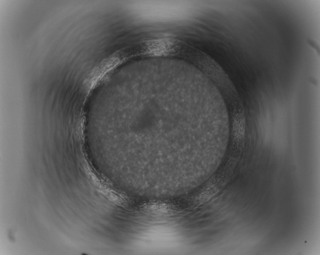 X0000103950730200810311548